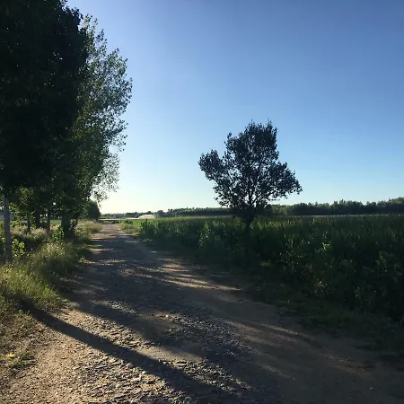 Casas Olmo Y Fresno Jardin Y Piscina A 17 Kilometros De